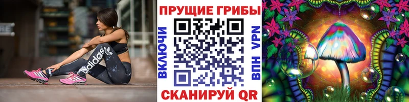 гидра маркетплейс  Тамбов  Галлюциногенные грибы MAGIC MUSHROOMS 